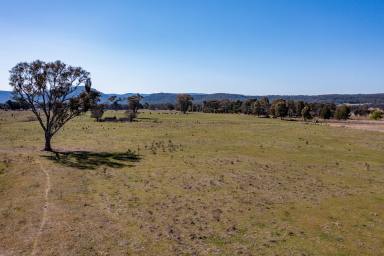 Farm For Sale - NSW - Rylstone - 2849 - Perfect Lifestyle Living  (Image 2)