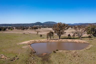 Farm For Sale - NSW - Rylstone - 2849 - Perfect Lifestyle Living  (Image 2)