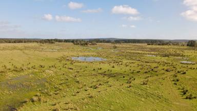 Farm Sold - SA - Mount McIntyre - 5279 - Rare Opportunity in such a reliable area.  (Image 2)