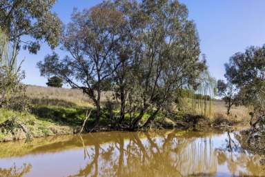 Farm For Sale - NSW - Boorowa - 2586 - Productive Riverfront Grazing at 'Riverview'  (Image 2)