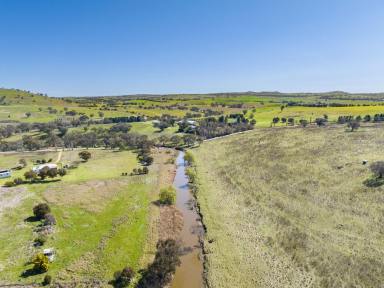 Farm For Sale - NSW - Boorowa - 2586 - Picturesque Lifestyle & Productive Riverfront Grazing at 'Riverview'  (Image 2)