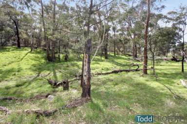 Farm For Sale - VIC - Tooborac - 3522 - ESCAPE TO YOUR 47.5 HECTARE PARADISE  (Image 2)