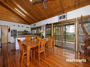 Farm Sold - QLD - Woodgate - 4660 - RIVER FRONT FAMILY HOME - SALT WATER RIVER FRONTAGE  (Image 2)