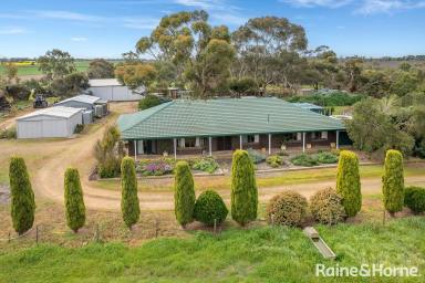 Farm Sold - SA - Strathalbyn - 5255 - An Opportunity Too Good To Miss!  (Image 2)