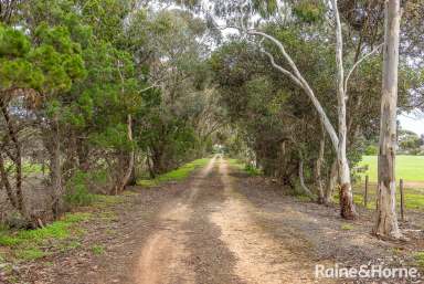 Farm Sold - SA - Strathalbyn - 5255 - An Opportunity Too Good To Miss!  (Image 2)