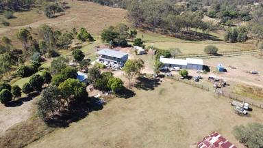 Farm Sold - QLD - New Moonta - 4671 - How good is this, very very GOOD  (Image 2)