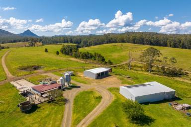 Farm For Sale - NSW - Killabakh - 2429 - 'Glenyarra' Highly Productive, Organic Farm  (Image 2)