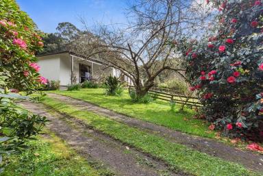 Farm For Sale - VIC - Apollo Bay - 3233 - JUST SMELL THE SERENITY  (Image 2)