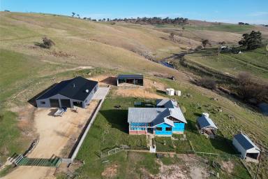 Farm For Sale - NSW - Golspie - 2580 - Clovelly  (Image 2)