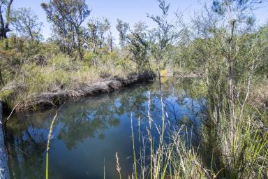 Farm Sold - NSW - Fortis Creek - 2460 - Big Bushy Acres with Water Features  (Image 2)
