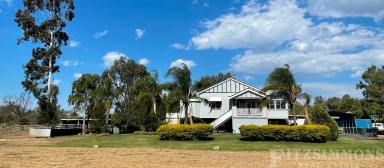 Farm Sold - QLD - Dalby - 4405 - ACREAGE LIVING WITHIN WALKING DISTANCE TO THE MAIN STREET  (Image 2)
