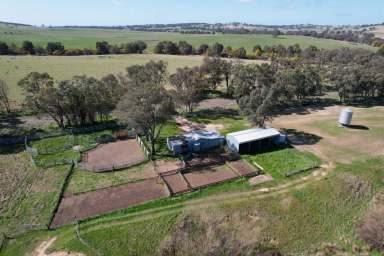 Farm For Sale - NSW - Binalong - 2584 - Productive South West Slopes Grazing  (Image 2)