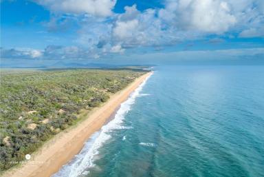 Farm For Sale - QLD - Deepwater - 4674 - "Serenity" 300 Acre Beachfront  (Image 2)