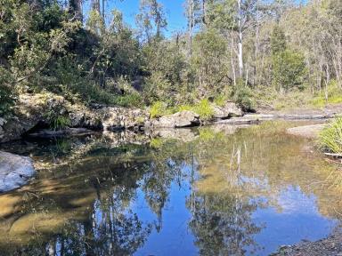 Farm Sold - NSW - Caparra - 2429 - Experience Paradise on Caparra Creek  (Image 2)
