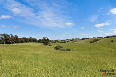 Farm For Sale - VIC - Mirboo - 3871 - 62 ACRES OF PRODUCTIVE GRAZING LAND  (Image 2)