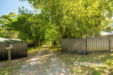 Farm For Sale - VIC - Millgrove - 3799 - SECLUDED FARMLET ON 3.5 ACRES  (Image 2)