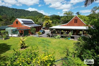 Farm Sold - QLD - Bombeeta - 4871 - Private, Self Sustainable , Organic Living  (Image 2)