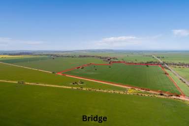 Farm For Lease - SA - Wandearah East - 5523 - PRODUCTIVE & WELL LOCATED ARABLE LAND  (Image 2)