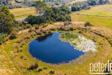 Farm Sold - TAS - Mount Direction - 7252 - Another Property SOLD SMART by Peter Lees Real Estate  (Image 2)