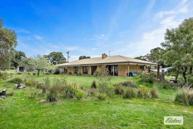Farm Sold - VIC - Pomonal - 3381 - Look no further for the perfect lifestyle home for outdoor adventurers and horse lovers alike,  in the most stunning location.  (Image 2)