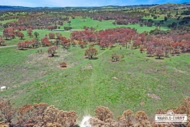Farm For Sale - NSW - Tenterfield - 2372 - 108 Acres with Sunnyside Creek.....  (Image 2)