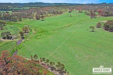 Farm For Sale - NSW - Tenterfield - 2372 - 108 Acres with Sunnyside Creek.....  (Image 2)