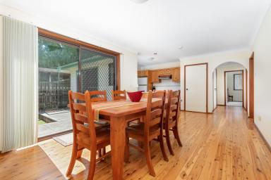 Farm Sold - NSW - Clarence Town - 2321 - Tranquil Living in the Heart of Town  (Image 2)