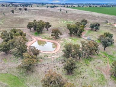 Farm For Sale - NSW - Wyalong - 2671 - Small Acreage Close to Town  (Image 2)