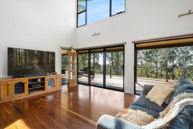 Farm For Sale - NSW - Tomerong - 2540 - Idyllic Contemporary Paradise with Sweeping Views  (Image 2)