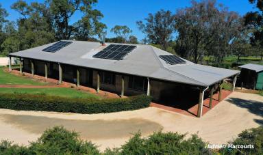 Farm Sold - WA - Dandaragan - 6507 - "Compare Values within 1 ½ hours of Perth"  (Image 2)
