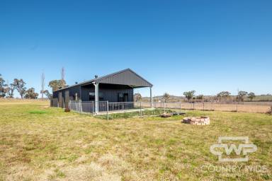 Farm Sold - NSW - Glen Innes - 2370 - Rural Retreat  (Image 2)
