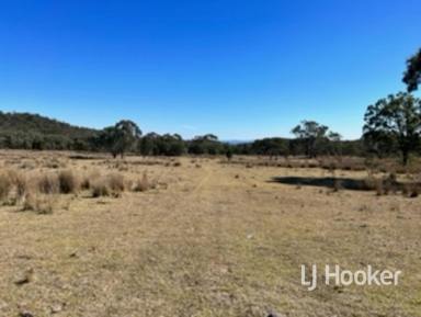 Farm For Sale - NSW - Inverell - 2360 - 'Round Stone' - Avoid the ongoing stress to find agistment  (Image 2)