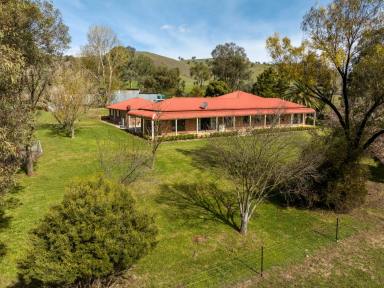 Farm Sold - NSW - Gobarralong - 2727 - Danderhall - A dream country lifestyle set on the banks of the Murrumbidgee River  (Image 2)