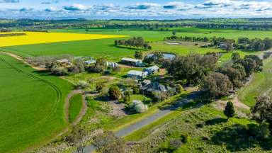 Farm Sold - NSW - Burrumbuttock - 2642 - A Large-Scale Opportunity at Burrumbuttock!  (Image 2)