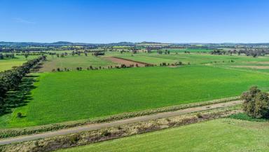 Farm Sold - NSW - Cowra - 2794 - Raintree Farm - Held by the same family for 190 years  (Image 2)