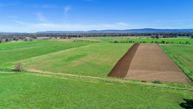 Farm Sold - NSW - Cowra - 2794 - Raintree Farm - Held by the same family for 190 years  (Image 2)