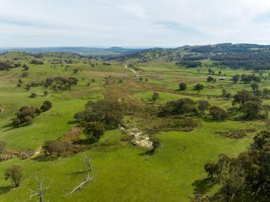 Farm Auction - NSW - Adjungbilly - 2727 - Scrubbers Bedden - High rainfall & productive grazing country  (Image 2)