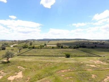 Farm Sold - NSW - Warialda Rail - 2402 - Fertile Acreage with Creek Frontage  (Image 2)