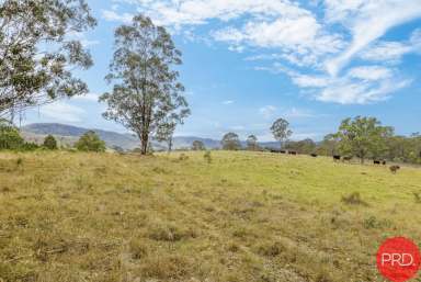 Farm Sold - NSW - Lambs Valley - 2335 - BREATHTAKING RURAL VIEWS - 128 Acres  (Image 2)