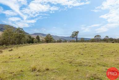 Farm Sold - NSW - Lambs Valley - 2335 - BREATHTAKING RURAL VIEWS - 128 Acres  (Image 2)