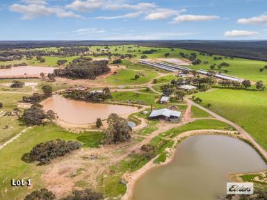 Farm Sold - VIC - Bagshot North - 3551 - Two Exceptional Properties – 1122 Ac / 454 Ha, Intensive Livestock and Fodder Production  (Image 2)