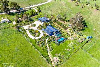 Farm Sold - SA - Harrogate - 5244 - Big Gum Country,The Perfect Sustainable Retreat  (Image 2)