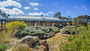 Farm Sold - NSW - Coonabarabran - 2357 - 'Mopreagh' provides a great rural lifestyle with a High Quality Homestead in a stunning Landscape [ 84.8 Ha* | 209.5 Ac*]  (Image 2)