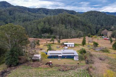 Farm Sold - NSW - Bobin - 2429 - 100 Acres in the Hills  (Image 2)