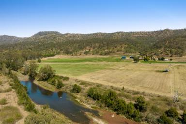 Farm Sold - QLD - East Haldon - 4343 - Irrigation, Hay, Horticulture and Cattle production set in the scenic East Haldon valley. Buy as a whole or individually.  (Image 2)