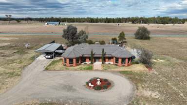 Farm For Sale - VIC - Lower Norton - 3401 - Room To Move 10km to Horsham  (Image 2)