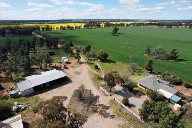 Farm Sold - NSW - Ganmain - 2702 - Riverina Cropping and Grazing Offering Genuine Scale  (Image 2)