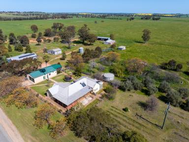Farm For Sale - NSW - Coolamon - 2701 - Carbon Rich Mixed Farming Investment  (Image 2)