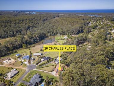 Farm Sold - NSW - Nambucca Heads - 2448 - We have Bought Elsewhere and Ready to Move!!  (Image 2)