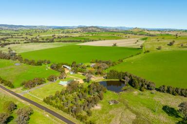 Farm For Sale - NSW - Woodstock - 2793 - Immaculate, High Quality Mixed Farming & Grazing!  (Image 2)